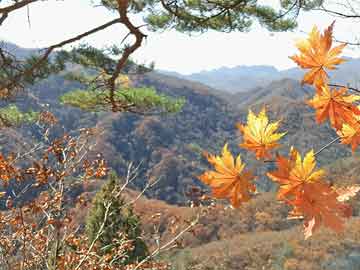 药流药联系方式5万字珍藏版！2025巴菲特股东大会全程实录：首次明确批评贸易战 官宣将于年底退休