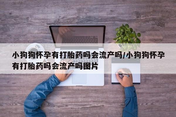 药流药联系方式小狗狗怀孕有打胎药吗会流产吗/小狗狗怀孕有打胎药吗会流产吗图片