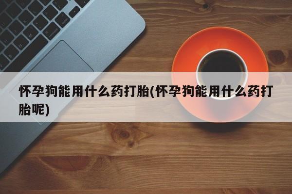 药流药联系方式怀孕狗能用什么药打胎(怀孕狗能用什么药打胎呢)
